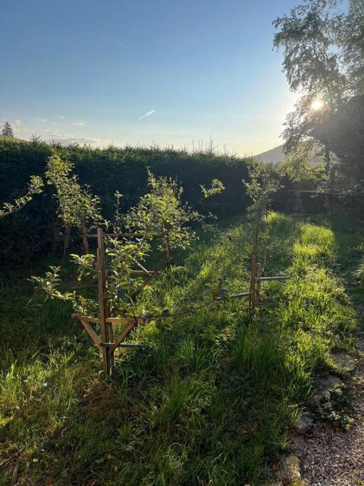Nuit Insolite - La Cabane Du Haut-Doubs Les Gras 外观 照片