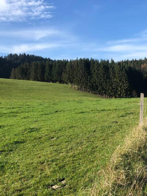 Nuit Insolite - La Cabane Du Haut-Doubs Les Gras 外观 照片