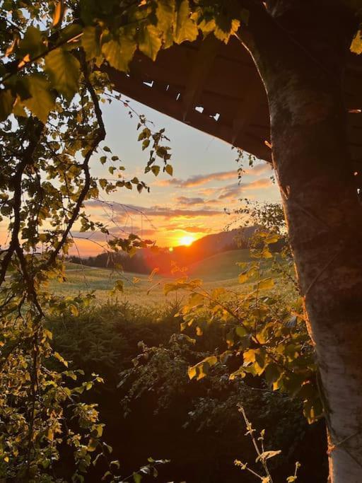 Nuit Insolite - La Cabane Du Haut-Doubs Les Gras 外观 照片